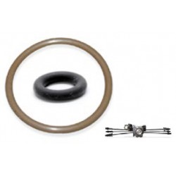 KIT BLISTER PARA 1 INYECTOR GM VORTEC 1A GENERACION