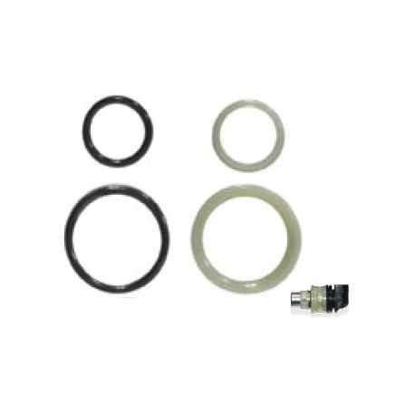 KIT BLISTER PARA 1 INYECTOR TBI GM CHEVY Y OTROS