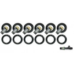 KIT BLISTER PARA 6 INYECTORES MPFI DELPHI MULTEC GM ISUZU