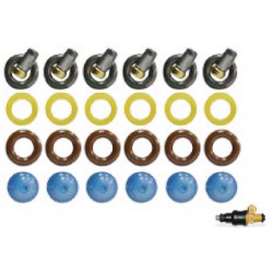 KIT BLISTER PARA 6 INYECTORES MPFI FORD, HYUNDAI Y OTROS