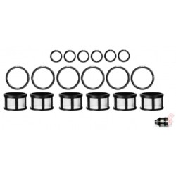 KIT BLISTER PARA 6 INYECTORES MPFI HITACHI JECS NISSAN